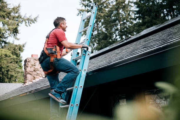 Best Solar Panel Roofing Installation  in Sudden Valley, WA
